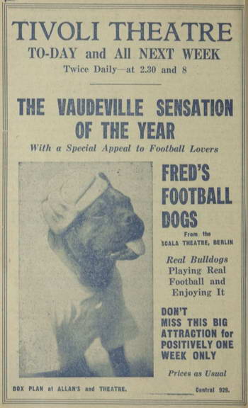 Football Dogs - VFL Football Record 1931 Round 7 p.12