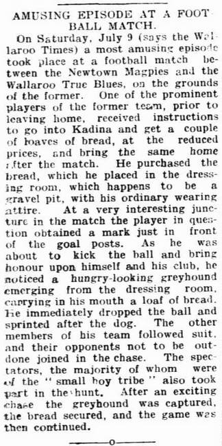 Port Pirie Recorder and North Western Mail 20Jul1910p4 Amusing Episode at Football Match