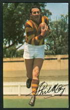 Phil Hay - 1965 Mobil Football Photos Card - Source: GoldnPawn - Reproduced with the permission of Esso Australia